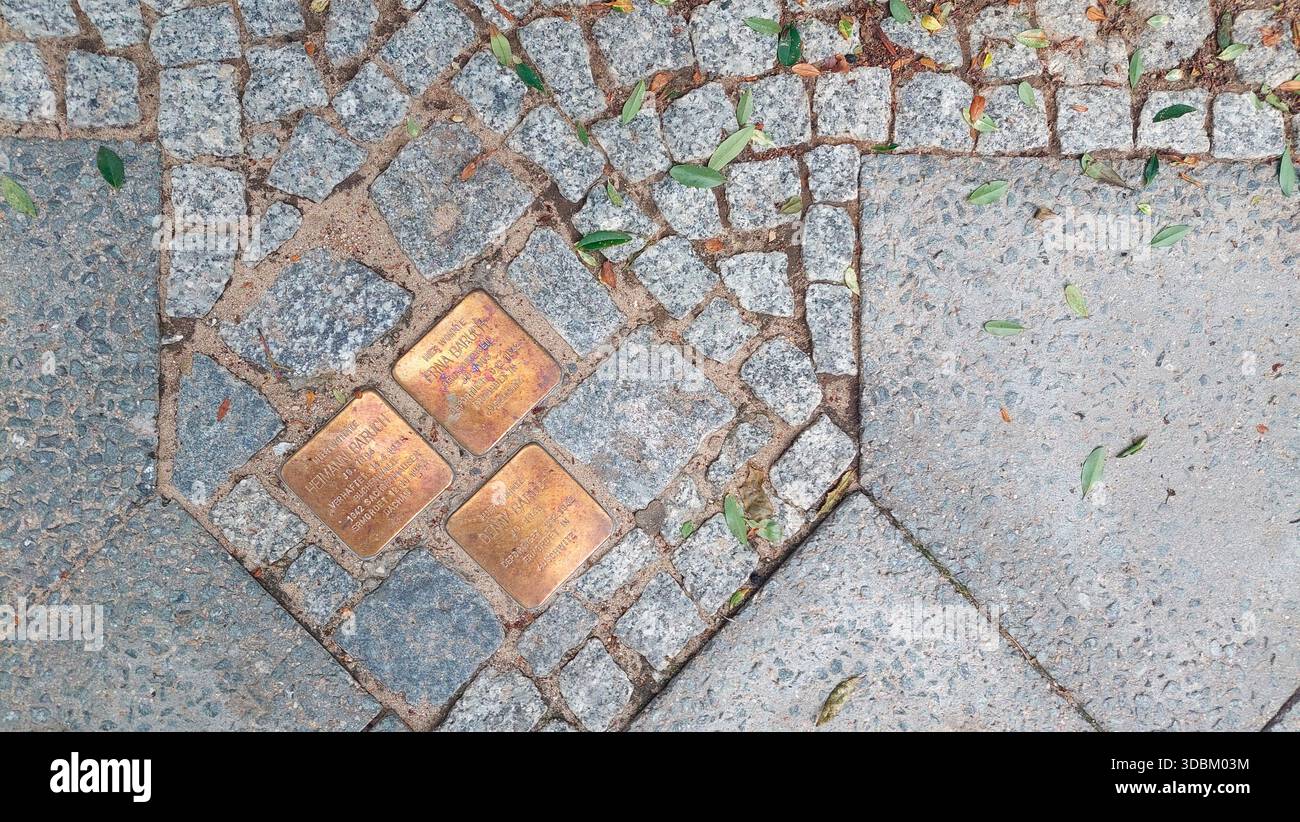 Bloc de trébuchement en bronze, pierre commémorative, pierre commémorative pour les résidents juifs posés dans le trottoir Banque D'Images