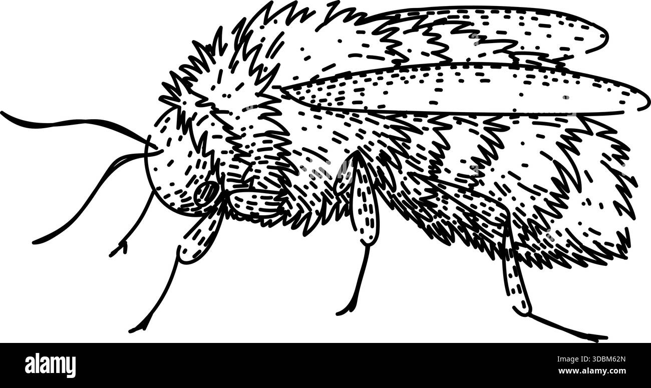 Insecte bourdon illustration d'art au trait dessiné à la main Illustration de Vecteur