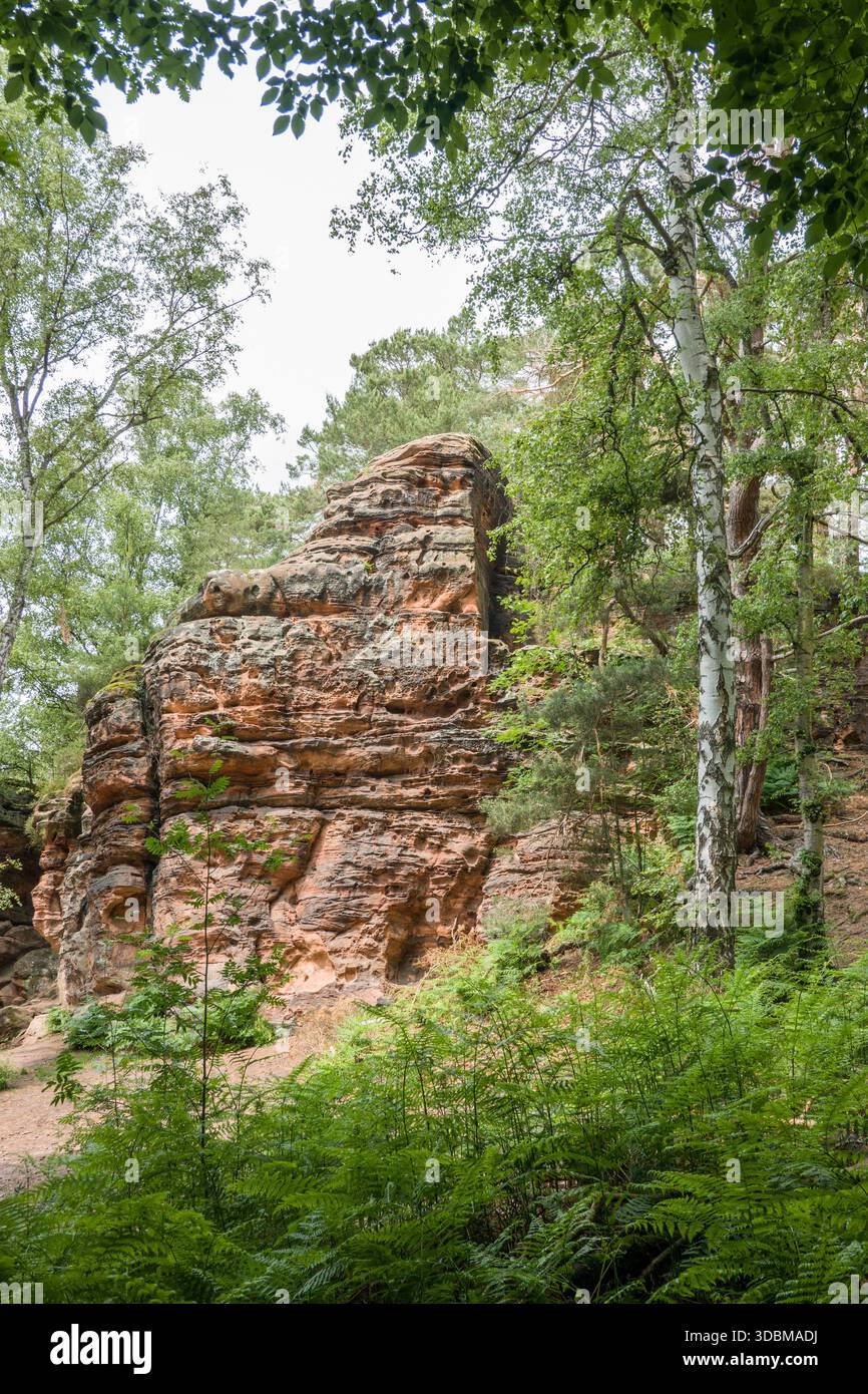 Monument naturel de Katzensteine, Rhénanie du Nord-Westphalie, Allemagne, Mechernich Banque D'Images