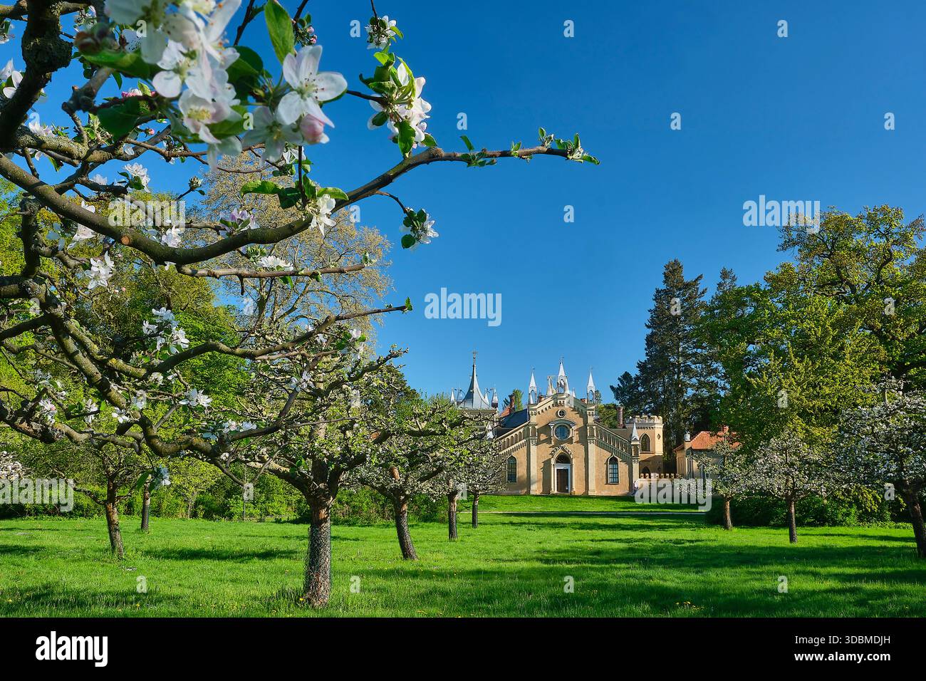 Maison Gothique, Wörlitz Park, Wörlitz, Saxe-Anhalt, Allemagne, Europe Banque D'Images