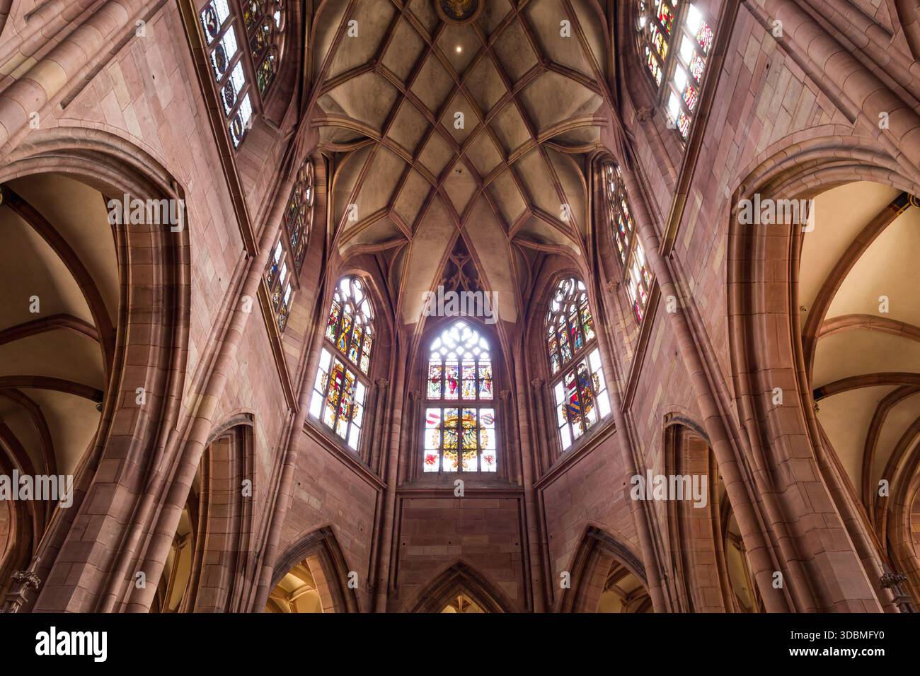 Freiburg Münster / Freiburg Minster, Allemagne, voûte côtelée de forme organique inhabituelle dans le chœur des années 1400 au début des années 1500 Banque D'Images