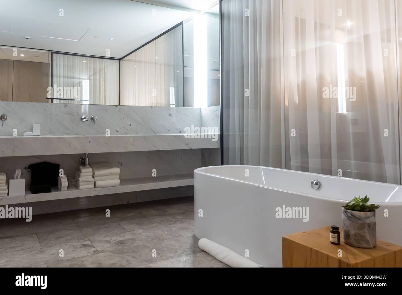 Décoration intérieure moderne et luxueuse de la salle de bains de l'hôtel. L’esthétique est épurée et minimaliste Banque D'Images