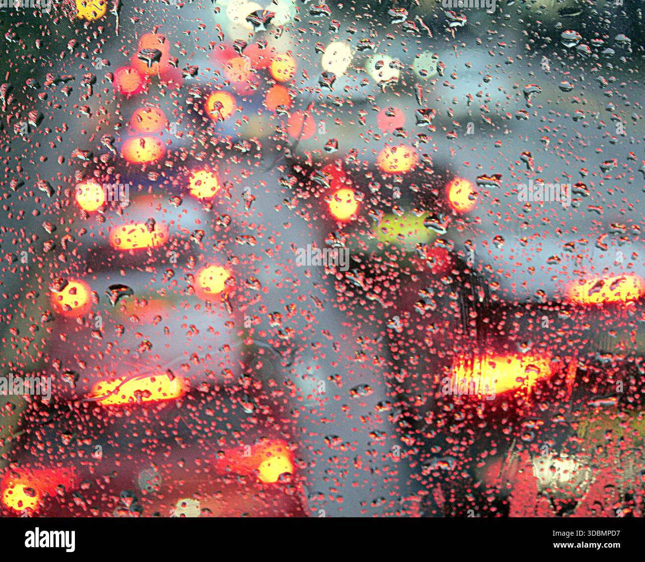 Glasgow, Écosse, Royaume-Uni. 17 décembre 2025. Météo britannique : pluie alors que les habitants et les touristes luttaient dans le centre-ville. Crédit Gerard Ferry/Alamy Live News Banque D'Images