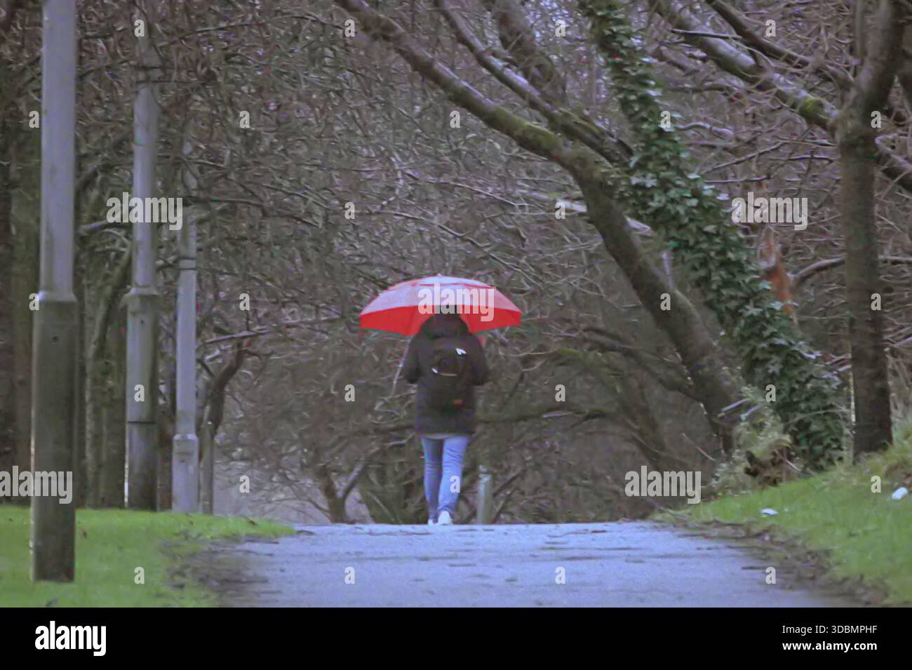 Glasgow, Écosse, Royaume-Uni. 17 décembre 2025. Météo britannique : pluie alors que les habitants et les touristes luttaient dans le centre-ville. Crédit Gerard Ferry/Alamy Live News Banque D'Images