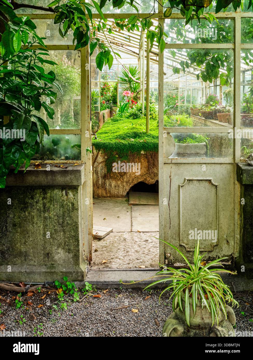 Isola del Garda, San Felice del Benaco, serre Banque D'Images