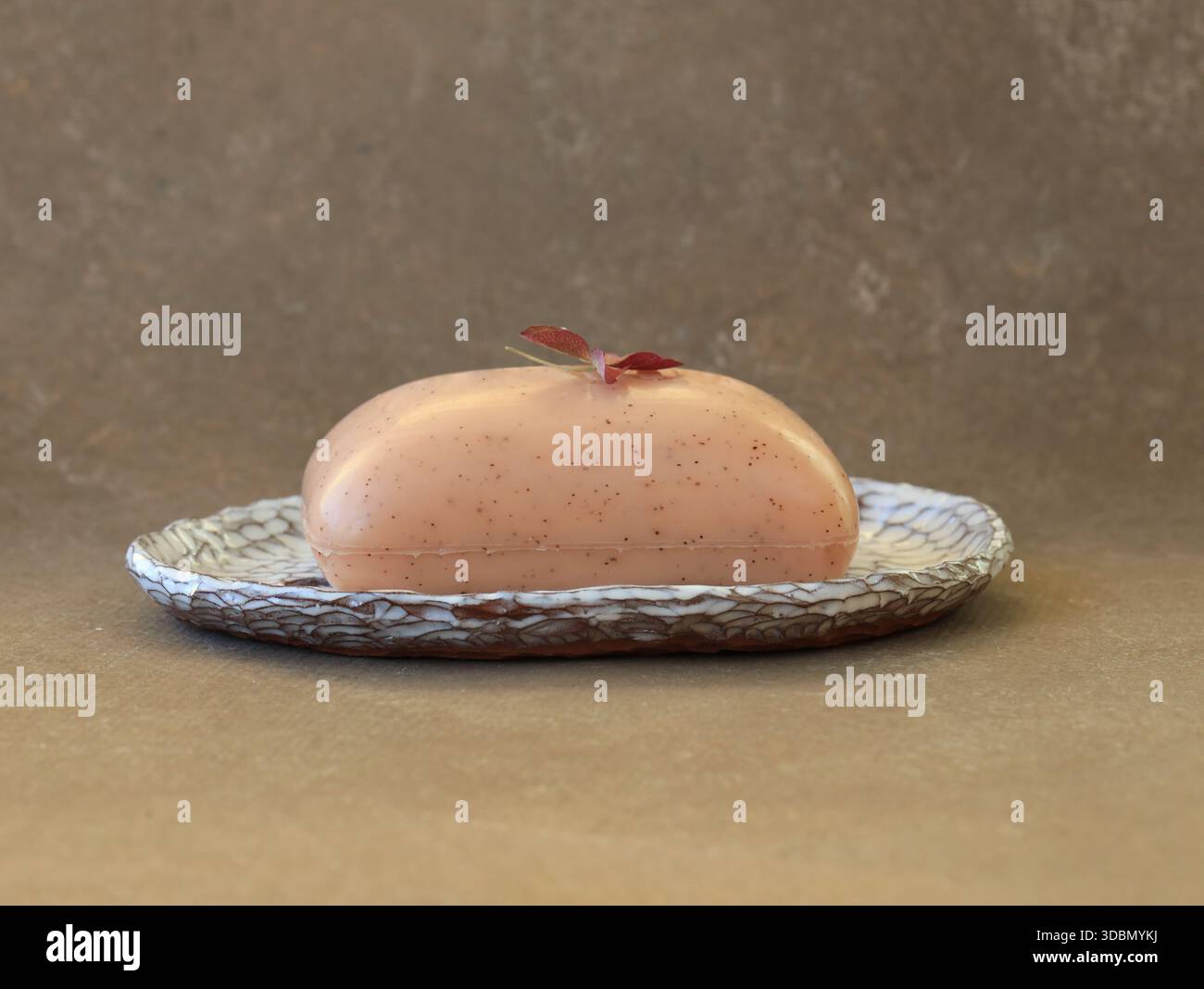 Pain de savon naturel placé sur un porte-savon en céramique fait à la main avec glaçage craquelé. Nature morte minimaliste avec tons terreux, lumière douce et atmosphère calme du spa Banque D'Images