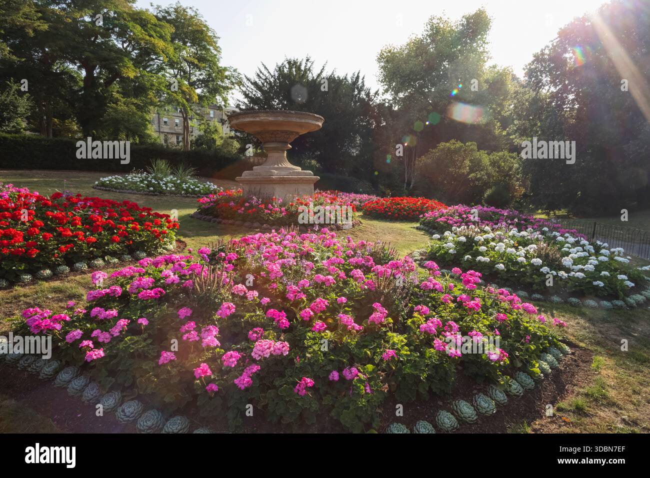 Angleterre, Somerset, Bath, Royal Victoria Park, Flower Beds Banque D'Images