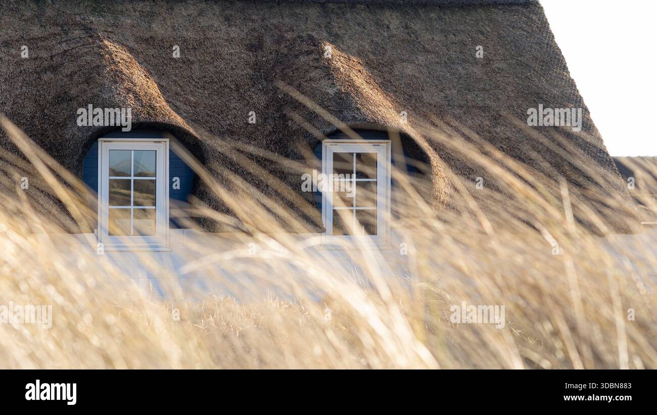 Vue des fenêtres dans une maison de vacances avec toit de chaume. Effectuez la mise au point en arrière-plan. Banque D'Images