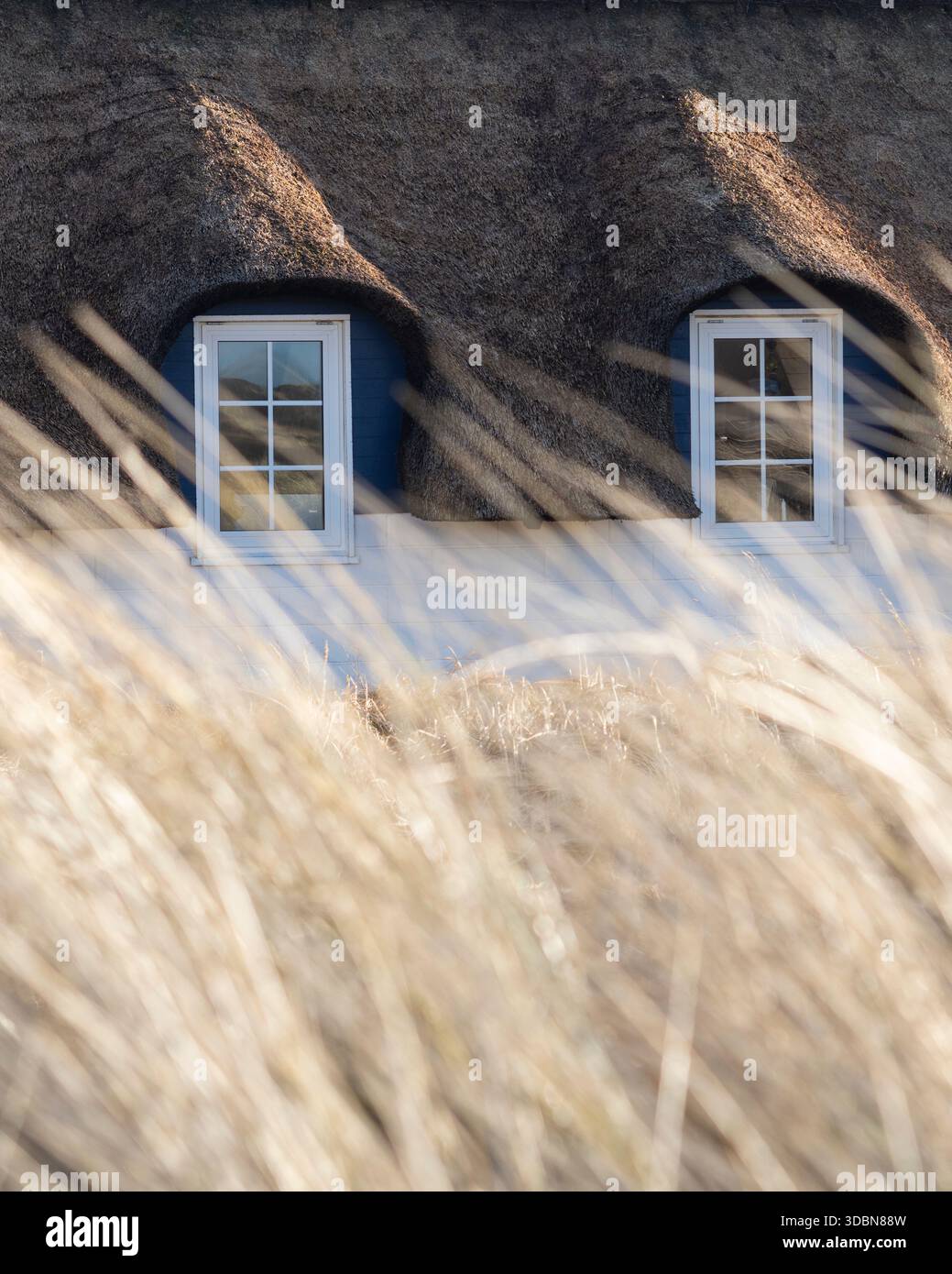 Fenêtre dans une maison de vacances avec herbe de dune au premier plan. Effectuez la mise au point en arrière-plan Banque D'Images