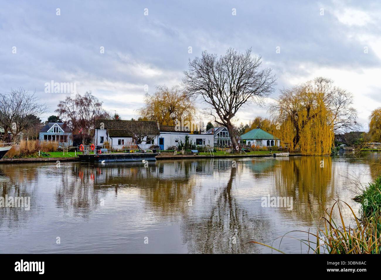 Maisons excusives sur l'île des Pharaohs au bord de la rivière à Shepperton un jour d'hiver sombre, Surrey Angleterre Royaume-Uni Banque D'Images