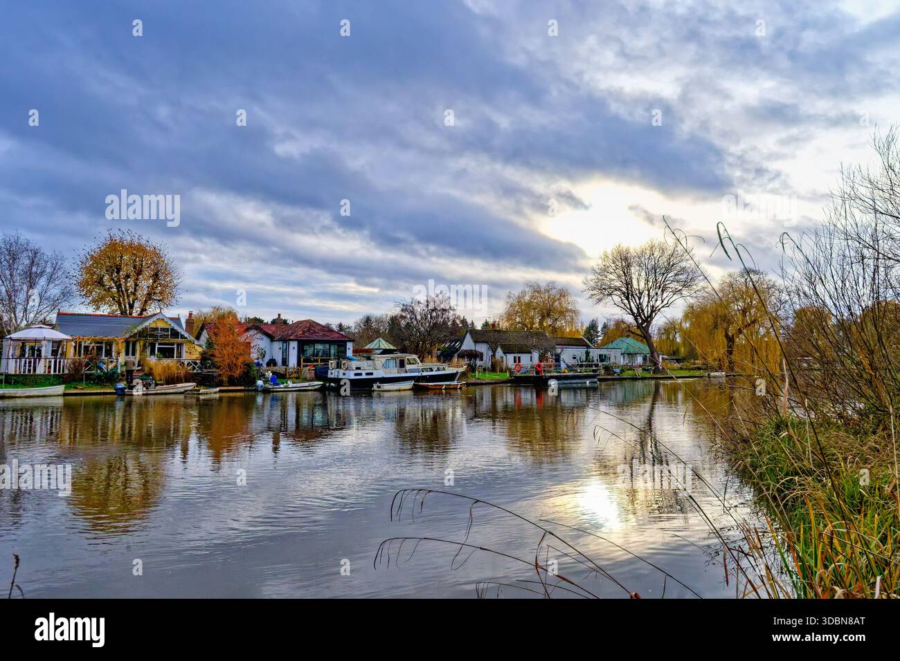 Maisons excusives sur l'île des Pharaohs au bord de la rivière à Shepperton un jour d'hiver sombre, Surrey Angleterre Royaume-Uni Banque D'Images