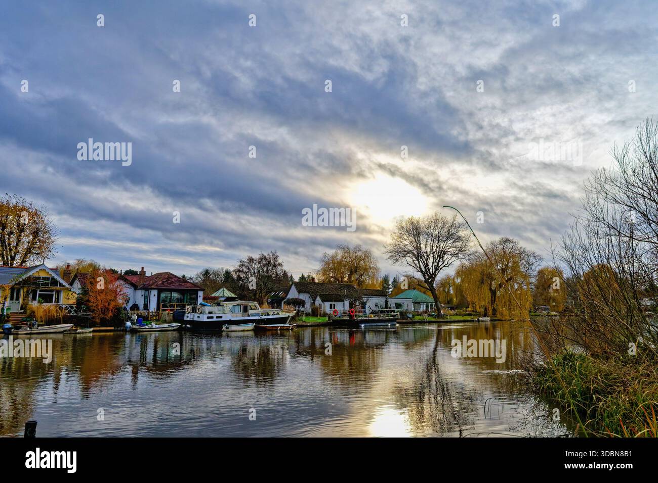 Maisons excusives sur l'île des Pharaohs au bord de la rivière à Shepperton un jour d'hiver sombre, Surrey Angleterre Royaume-Uni Banque D'Images