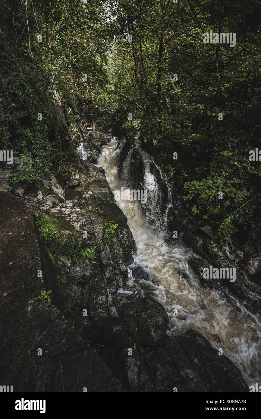 Le pays des cascades (gallois : Bro'R Sgydau) est le cours supérieur de la vallée de Neath dans le sud du pays de Galles, en bordure du parc national de Brecon Beacons. Une zone touristique à l'extrémité supérieure de la Vale avec un grand nombre de cascades accessibles au public. Banque D'Images