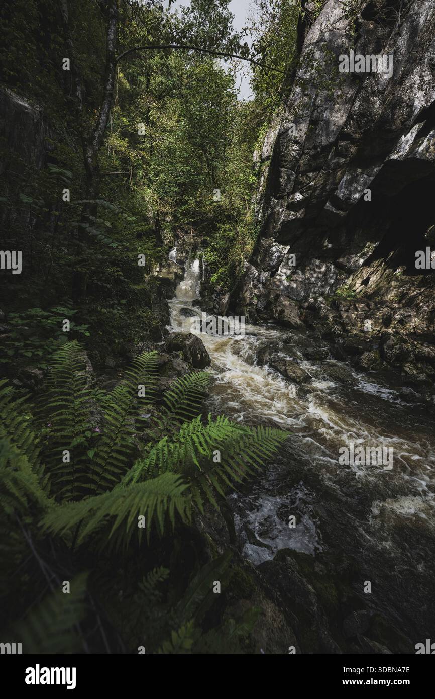 Le pays des cascades (gallois : Bro'R Sgydau) est le cours supérieur de la vallée de Neath dans le sud du pays de Galles, en bordure du parc national de Brecon Beacons. Une zone touristique à l'extrémité supérieure de la Vale avec un grand nombre de cascades accessibles au public. Banque D'Images