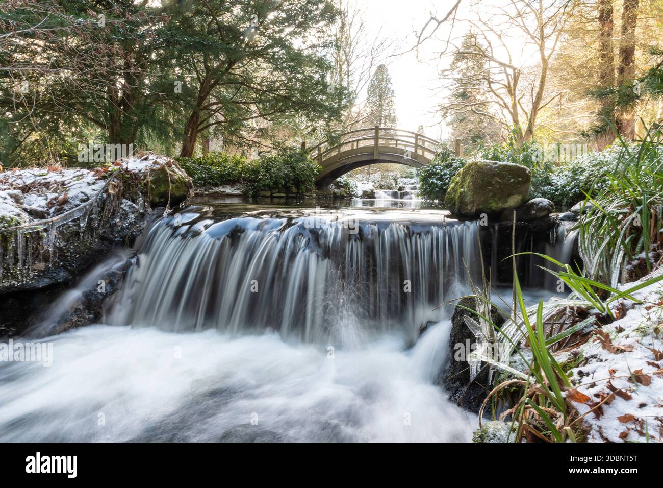Une scène hivernale paisible dans un jardin japonais avec un petit pont voûté, une cascade qui coule, de la neige et des plantes glacées. Banque D'Images