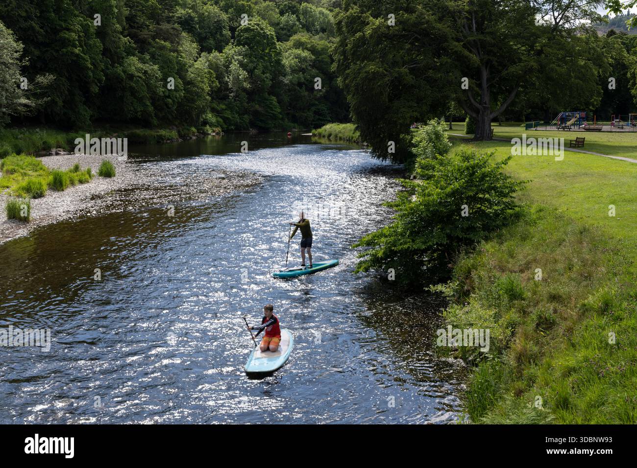 Deux paddleboarders glissent le long de la rivière Tweed près de Peebles dans un parc luxuriant. Banque D'Images