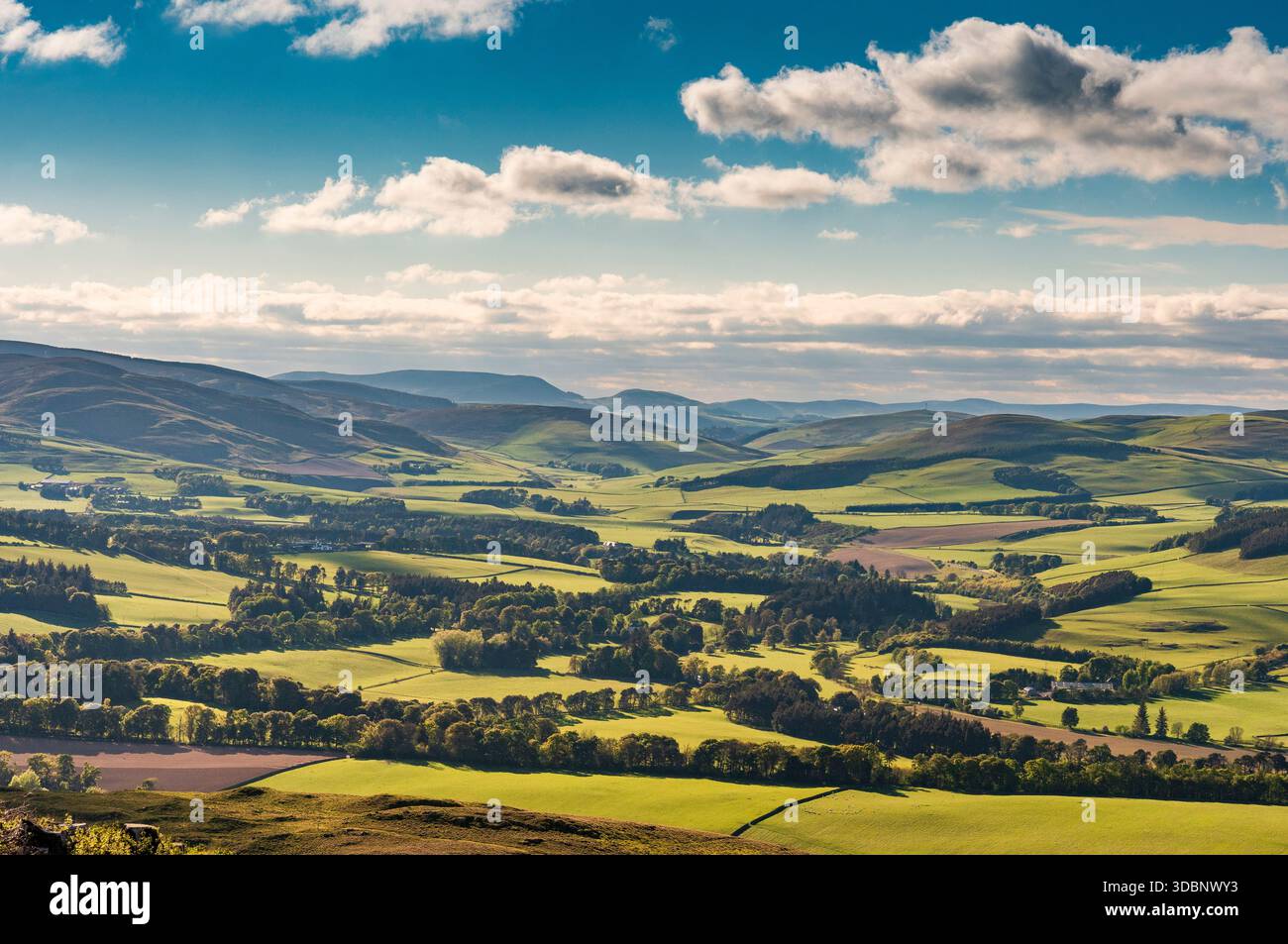 Paysage écossais panoramique à Peebles Tweeddale avec des champs patchwork, des collines ondulantes et des forêts lointaines. Banque D'Images