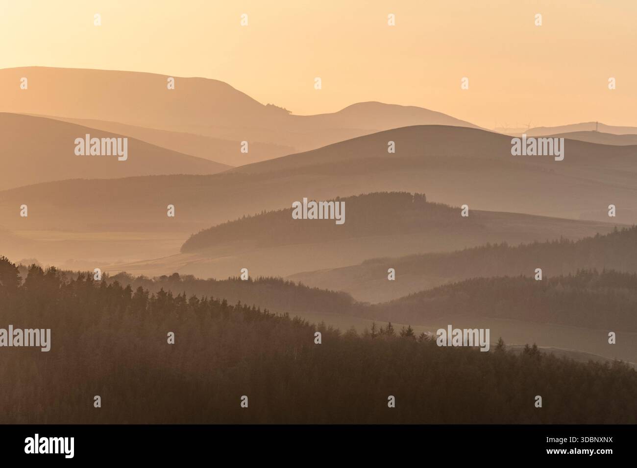 Lever de soleil chaud sur les collines ondoyantes et les vallées brumeuses à Peebles, en Écosse, avec un ciel tranquille et vaste. Banque D'Images