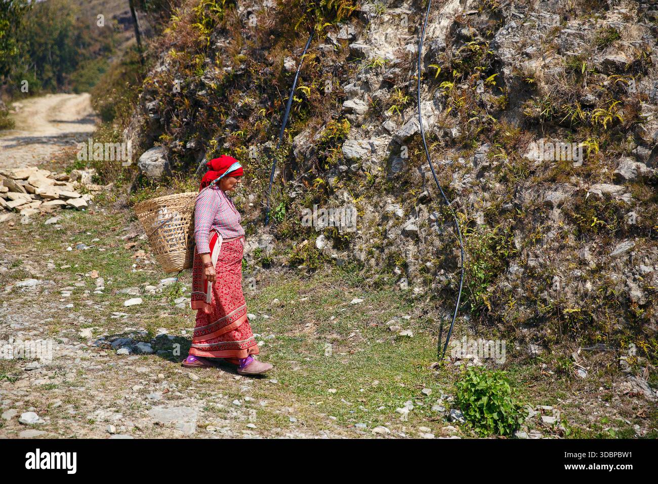 Femme du village local marchant le long d'un chemin rural en vêtements traditionnels, Népal, mars 2015. Banque D'Images
