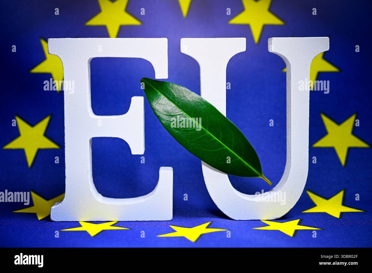 Lettrage UE avec feuille sur le drapeau de l'UE, photo symbolique pour les objectifs climatiques dans l'UE Banque D'Images