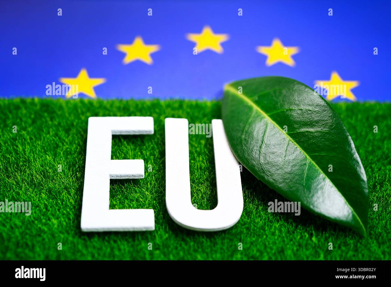 Lettrage UE avec feuille, photo symbolique pour les objectifs climatiques dans l'UE Banque D'Images