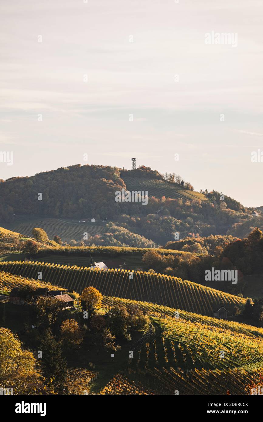 Point de vue panoramique et atmosphère automnale dans les vignobles pittoresques du sud de la Styrie, dans le sud de l'Autriche. Banque D'Images