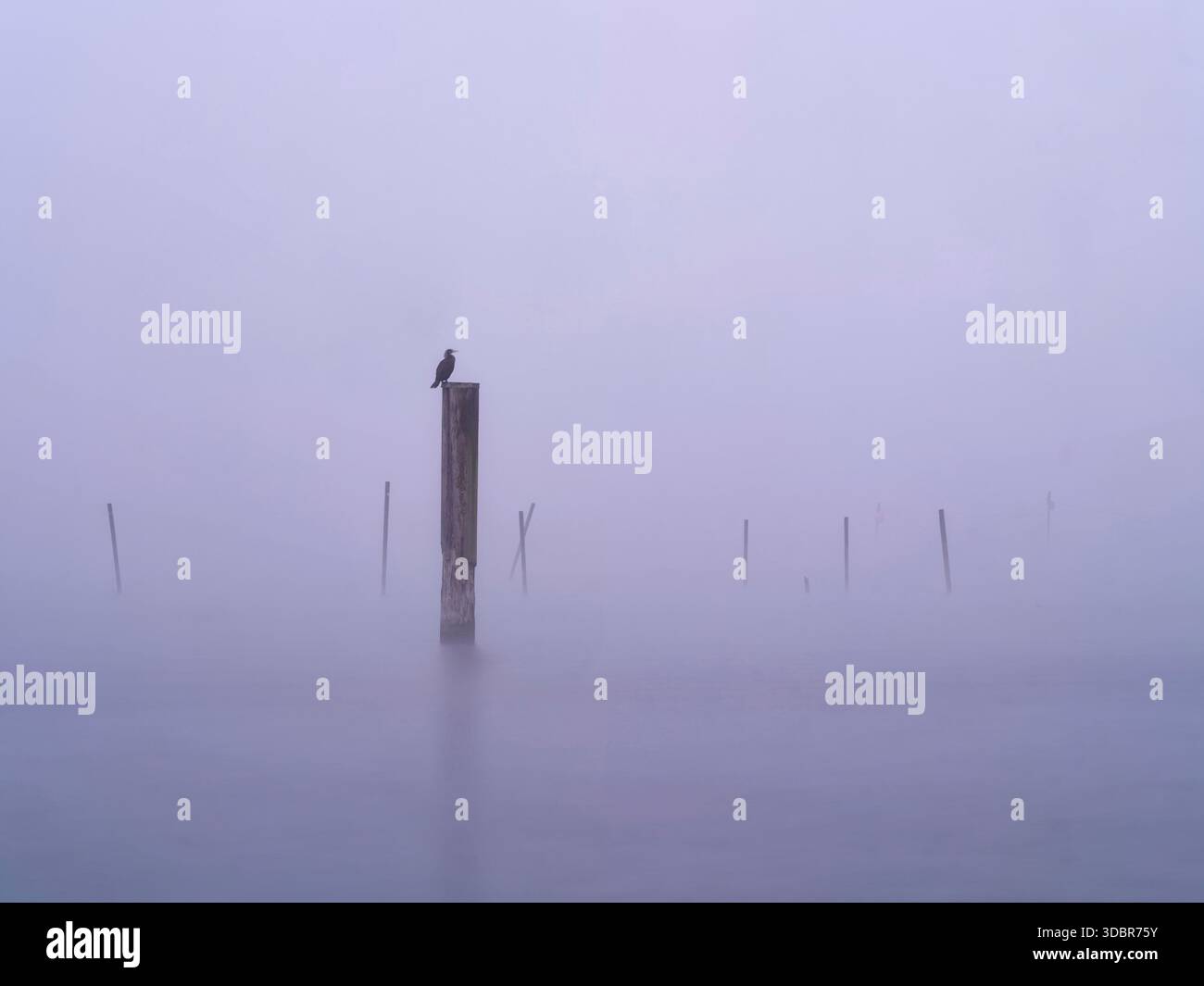 Journée brumeuse à la marina Starnberg à Percha sur le lac Starnberg Banque D'Images