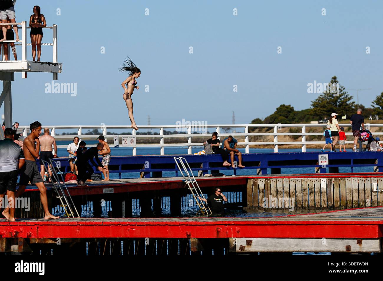 Geelong, Australie. 18 décembre 2025. Une femme plonge dans l'eau à Geelong Beach par temps chaud. Les gens se rassemblent à Geelong Beach alors que Victoria subit une chaleur extrême, Melbourne atteignant un maximum de 36 °C aujourd'hui. Les conditions chaudes devraient se poursuivre, Melbourne devrait atteindre environ 33 °C demain. Le Bureau of Meteorology a émis un avertissement de vague de chaleur grave pour Victoria, conseillant aux résidents de rester hydratés, de limiter l'exposition au soleil et de suivre les directives sur la chaleur et la santé. Crédit : SOPA images Limited/Alamy Live News Banque D'Images