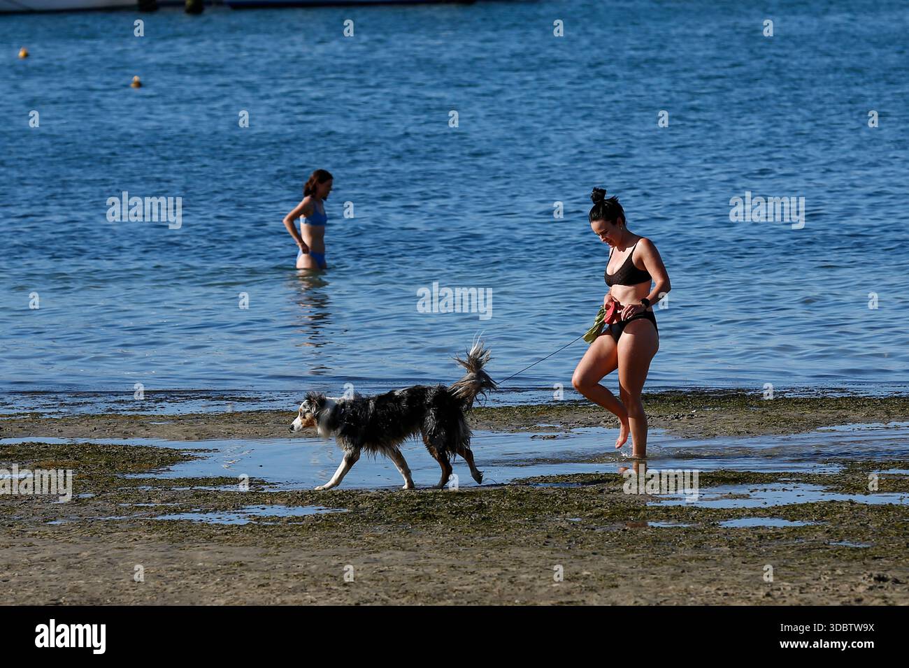 Geelong, Australie. 18 décembre 2025. Les amateurs de plage sont vus à Geelong Beach. Les gens se rassemblent à Geelong Beach alors que Victoria subit une chaleur extrême, Melbourne atteignant un maximum de 36 °C aujourd'hui. Les conditions chaudes devraient se poursuivre, Melbourne devrait atteindre environ 33 °C demain. Le Bureau of Meteorology a émis un avertissement de vague de chaleur grave pour Victoria, conseillant aux résidents de rester hydratés, de limiter l'exposition au soleil et de suivre les directives sur la chaleur et la santé. Crédit : SOPA images Limited/Alamy Live News Banque D'Images
