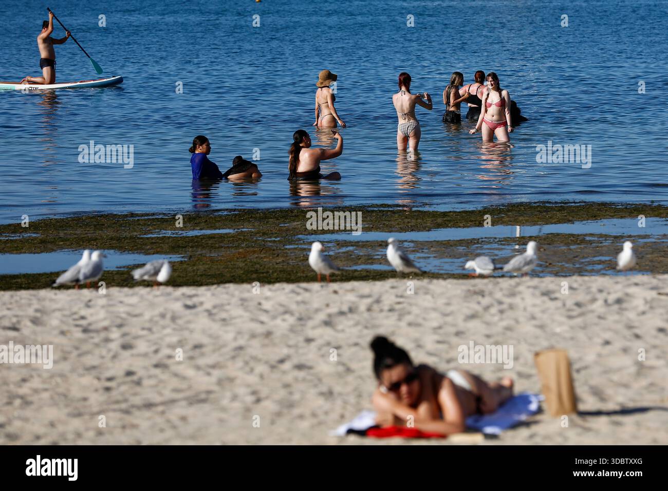 Geelong, Australie. 18 décembre 2025. Les amateurs de plage sont vus à Geelong Beach. Les gens se rassemblent à Geelong Beach alors que Victoria subit une chaleur extrême, Melbourne atteignant un maximum de 36 °C aujourd'hui. Les conditions chaudes devraient se poursuivre, Melbourne devrait atteindre environ 33 °C demain. Le Bureau of Meteorology a émis un avertissement de vague de chaleur grave pour Victoria, conseillant aux résidents de rester hydratés, de limiter l'exposition au soleil et de suivre les directives sur la chaleur et la santé. (Photo de Ye Myo Khant/SOPA images/Sipa USA) crédit : Sipa USA/Alamy Live News Banque D'Images