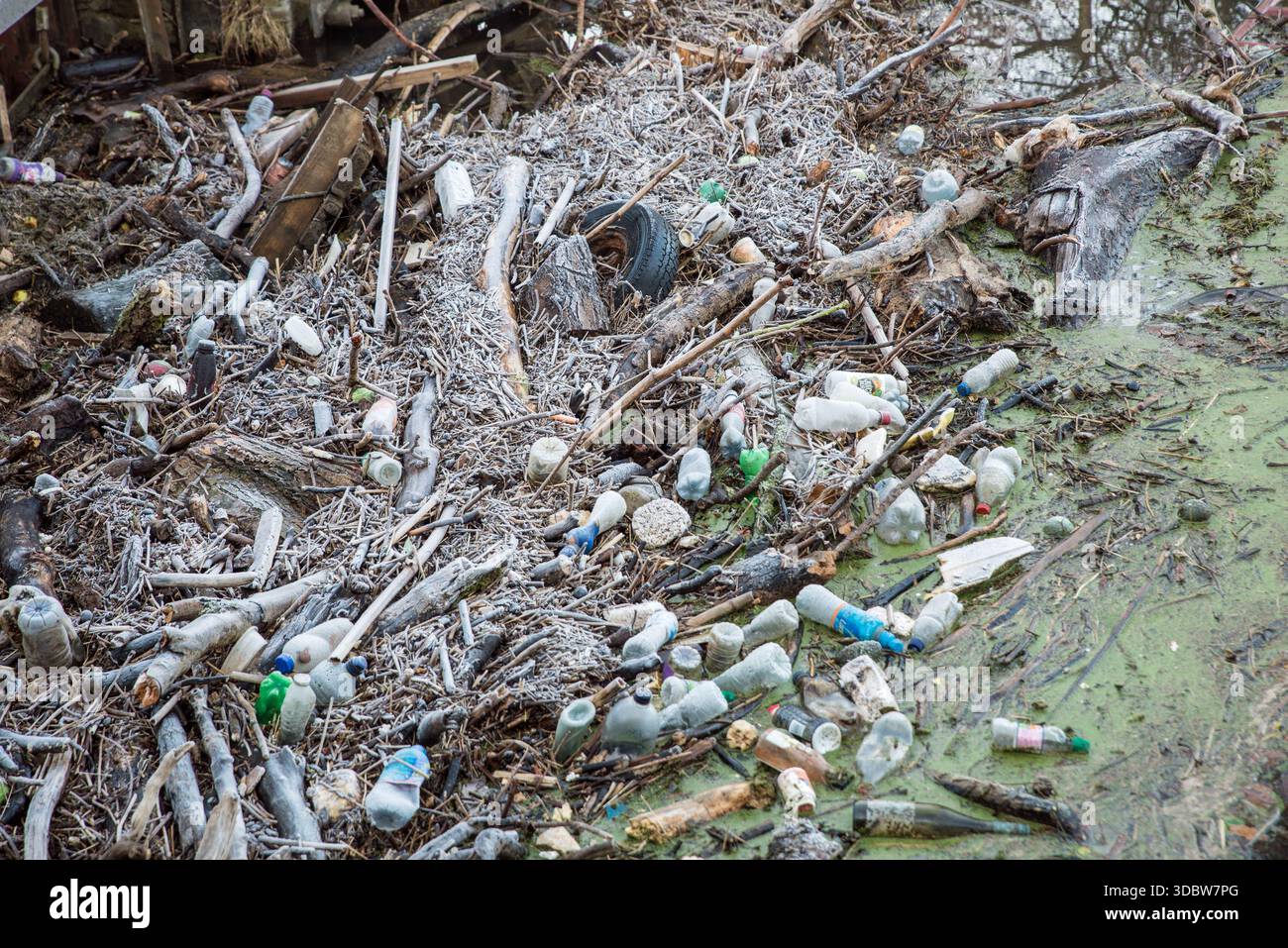 Bouteilles en plastique et autres déchets recouverts de givre qui s'est accumulé après une inondation sur la rivière Derwent, Belper, Derbyshire, East Midlands Banque D'Images