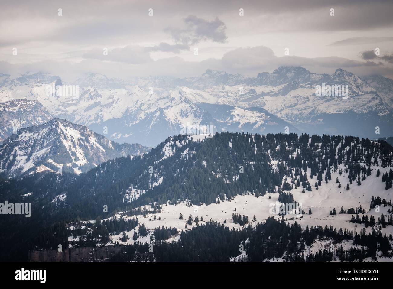 Vue sur les montagnes enneigées des Alpes, avec des arbres vert foncé accrochés aux pentes sous un ciel nuageux, créant une vue sereine, Lucerne, Canton Lucerne, Banque D'Images