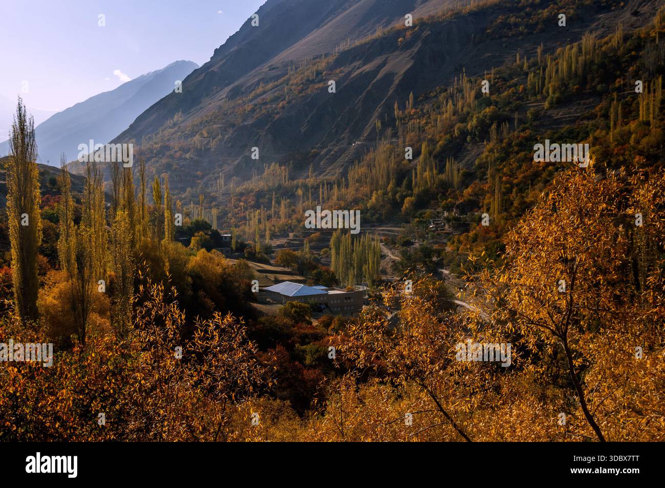 Vue des arbres dorés et ambrés accrochés aux pentes escarpées sous les montagnes imposantes, un bâtiment blanc niché dans la lueur automnale, Hunza Nagar, Banque D'Images