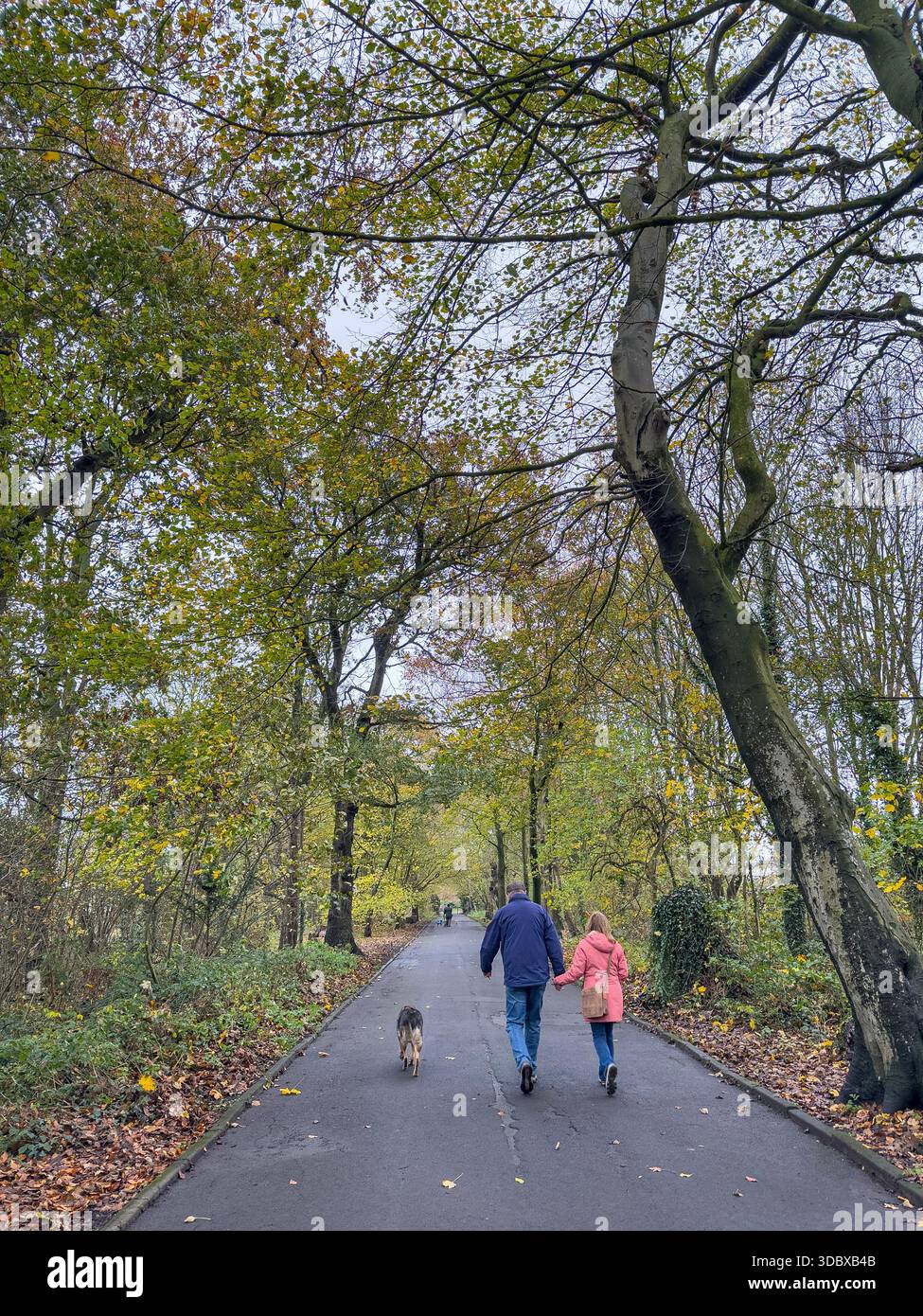 Green Drive Woodland, Lytham St Annes, Lancashire, Angleterre, Royaume-Uni Banque D'Images
