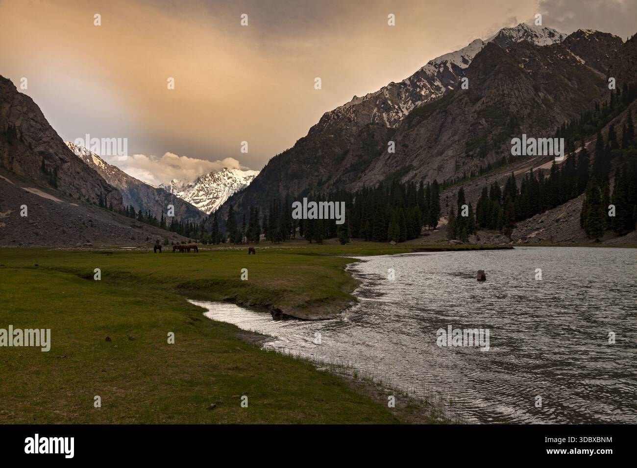 Vue sur le lac serein reflétant les pics montagneux spectaculaires, avec une prairie verte, et le coucher de soleil doré jetant des ombres à Kalam, Khyber Pakhtunkhwa, Banque D'Images