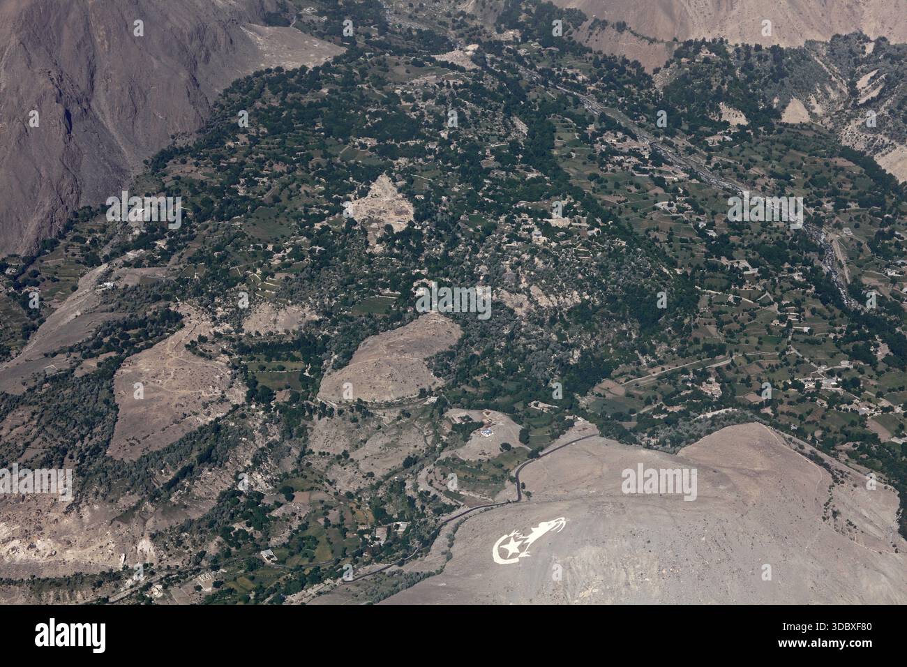 Vue aérienne d'une tapisserie d'arbres verts et de champs cultivés nichés entre des montagnes escarpées, un contraste frappant avec le paysage aride, Gilgit, Gilgi Banque D'Images
