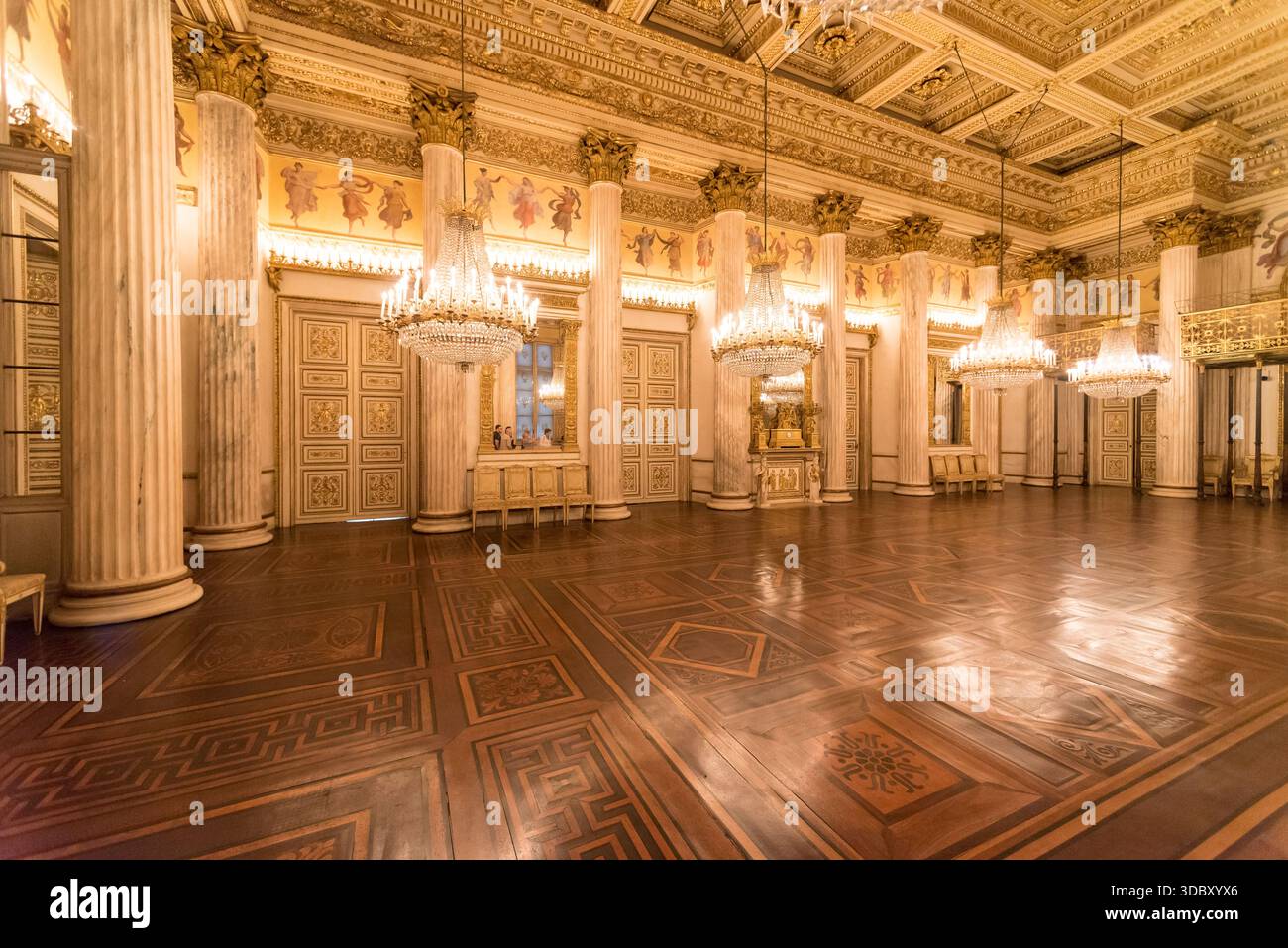Salle de la garde suisse, Palais Royal, Turin, Italie Banque D'Images