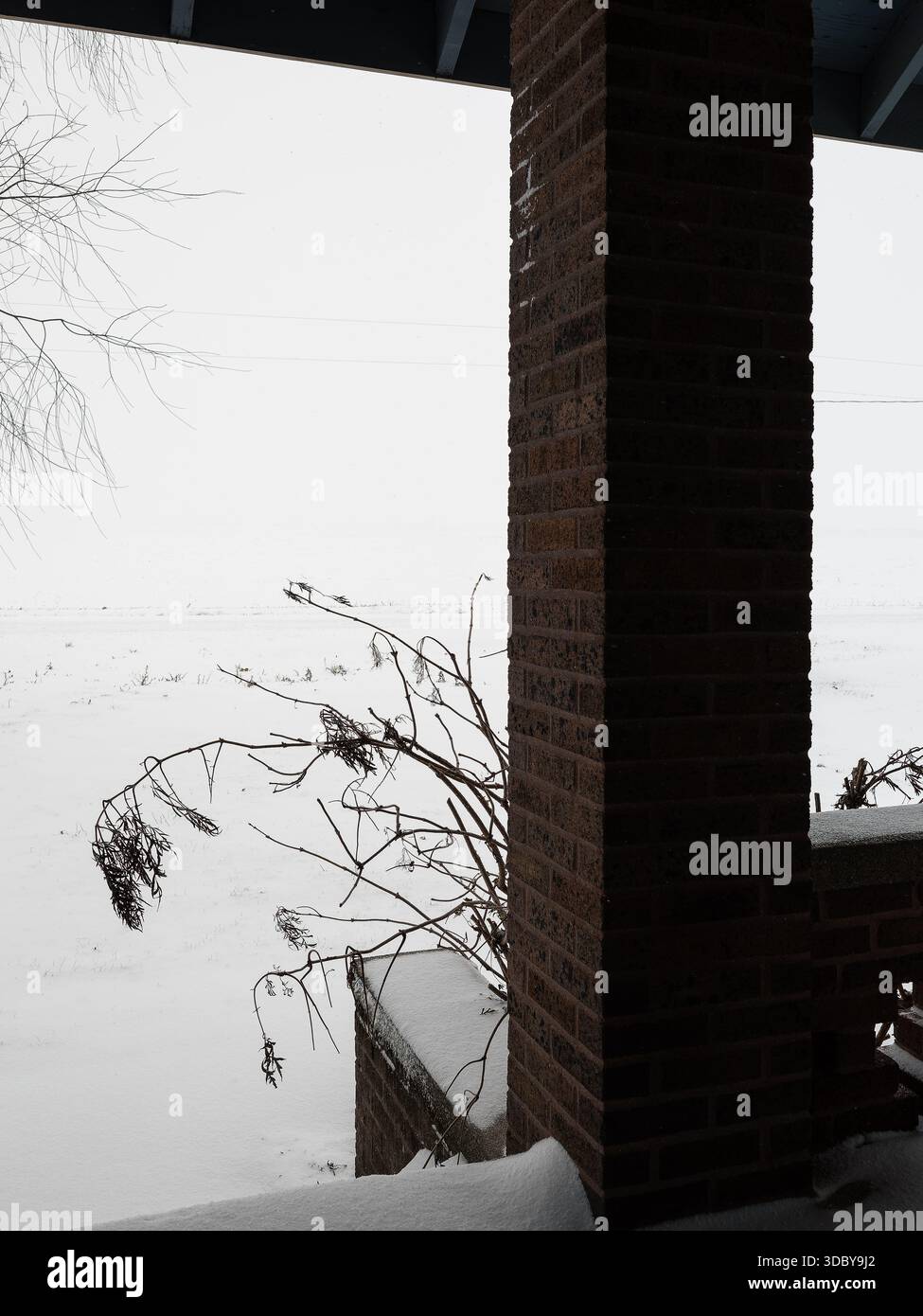 Hiver à Paris, Illinois Banque D'Images