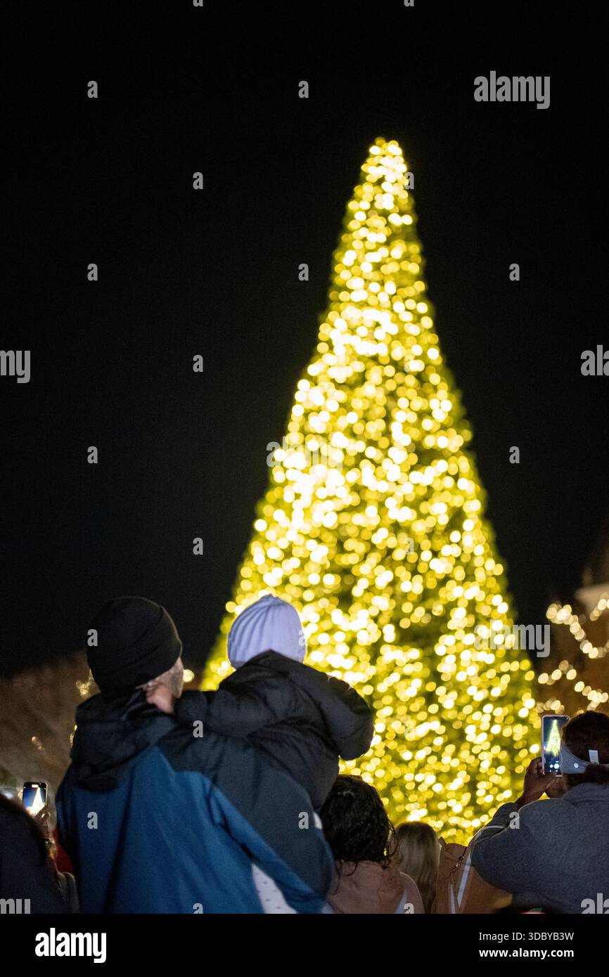 ECLAIRAGE de sapin de Noël, Alexandria, Virginie, États-Unis Banque D'Images