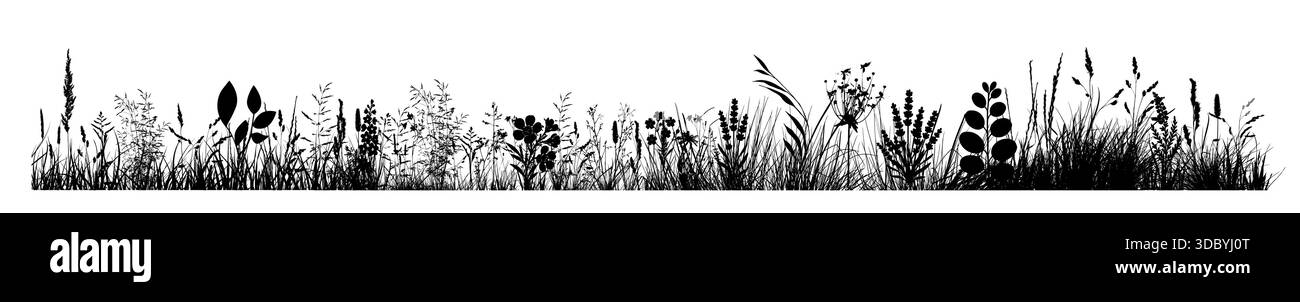 Silhouette de l'horizon de l'herbe. Bordure, printemps de prairie, dessiné à la main. Pas ai, illustration vectorielle Illustration de Vecteur