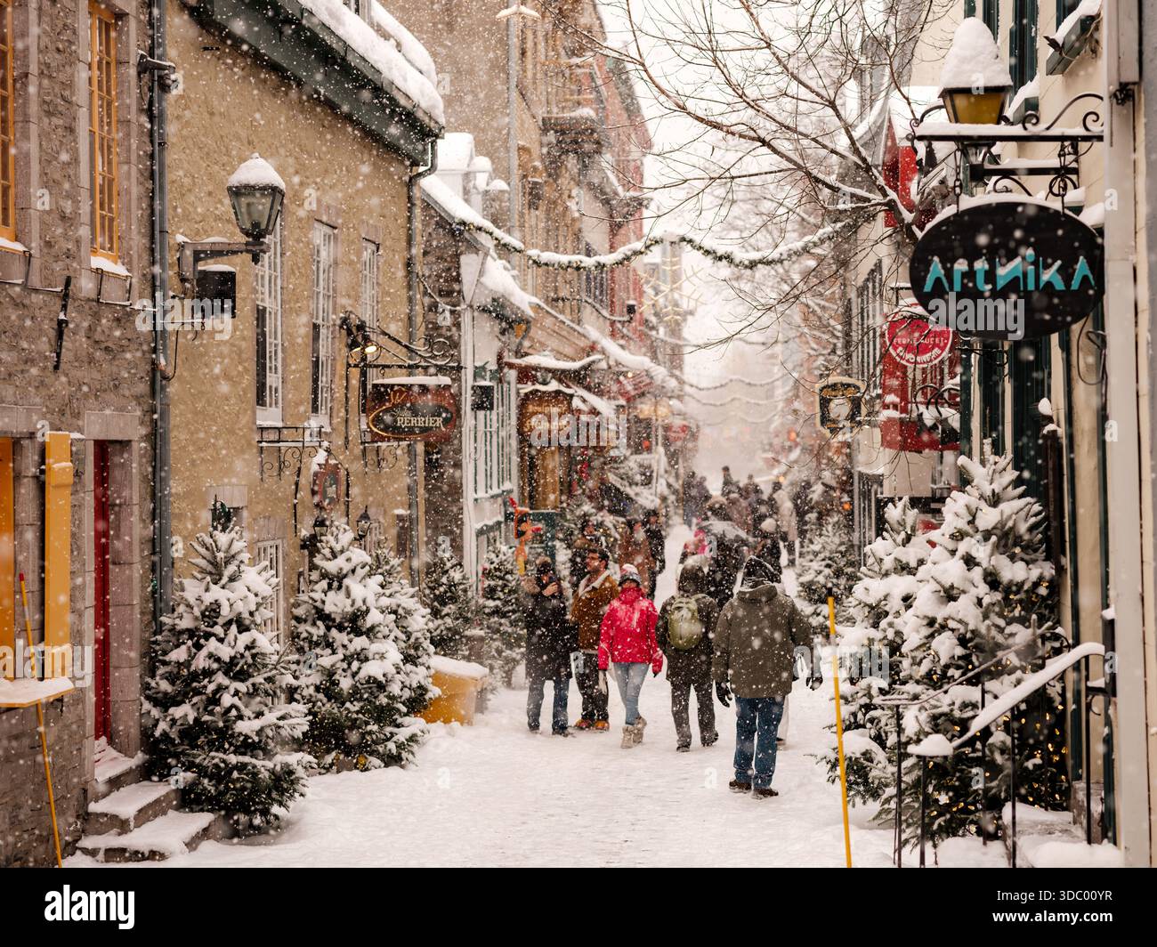 Le Vieux-Québec est carte postale en hiver avec des rues enneigées, des lumières festives et des marchés de Noël créent de la magie dans le Vieux-Québec historique, Canada. Banque D'Images