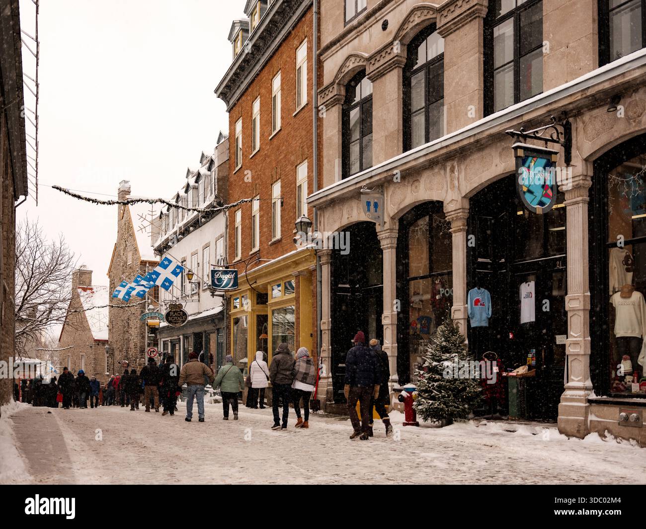 Le Vieux-Québec est carte postale en hiver avec des rues enneigées, des lumières festives et des marchés de Noël créent de la magie dans le Vieux-Québec historique, Canada. Banque D'Images