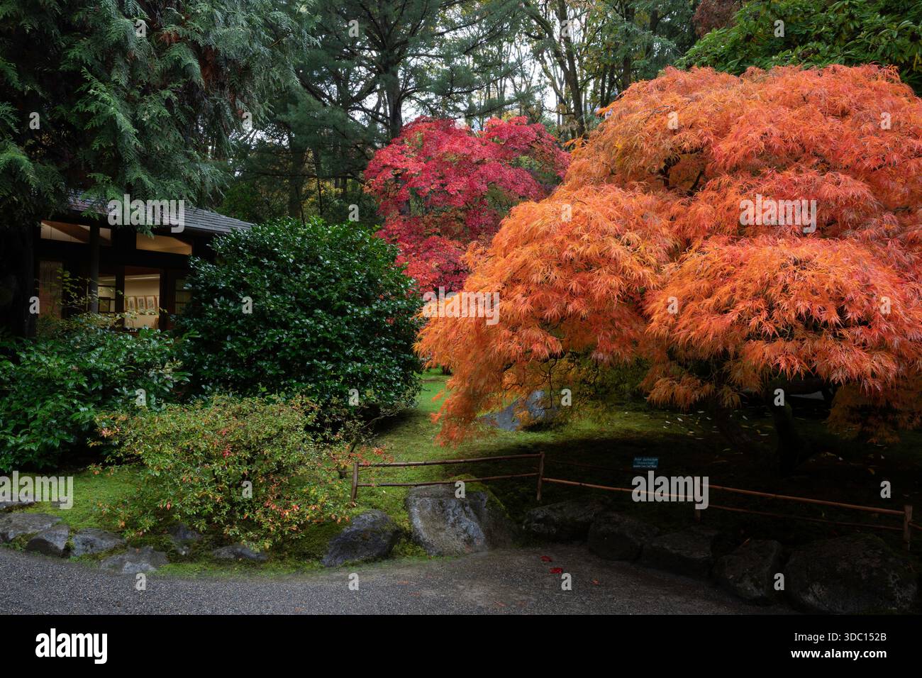 Humeur matinale d'automne Banque D'Images
