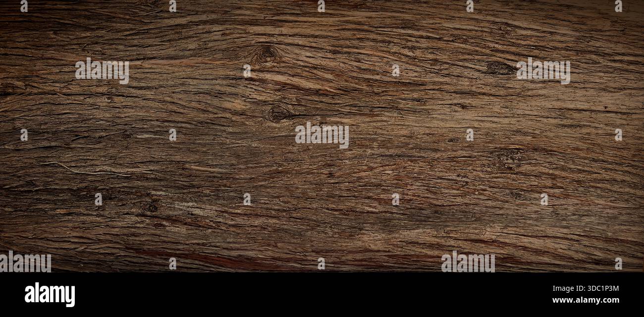 Écorce texturée rugueuse sur une vieille bûche d'arbre brun présentant un fond rustique naturel Banque D'Images