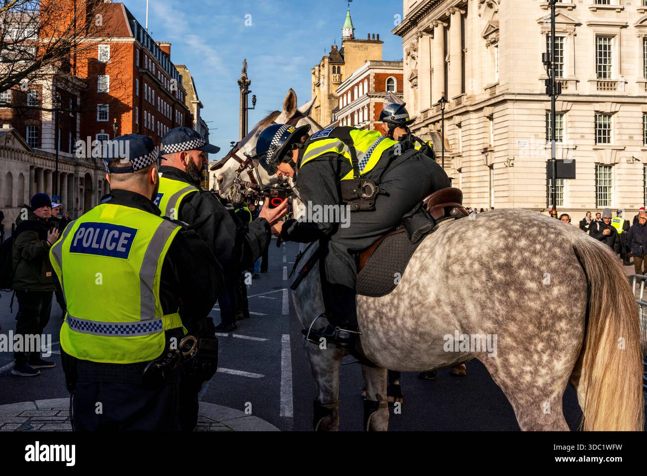 Des agents de la police montée patrouillent Whitehall avant plusieurs rassemblements politiques, Whitehall, Londres, Royaume-Uni. Banque D'Images