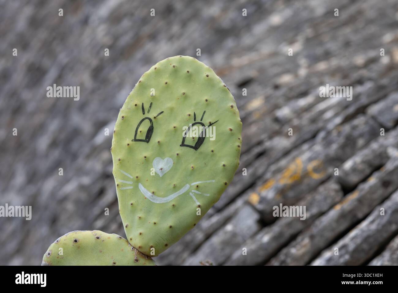 un bloc de cactus de barbarie avec un visage humoristique dessiné à la main ressemblant à un chat ou un lapin, avec de grands yeux et un nez en forme de cœur, serrés dans un flou Banque D'Images