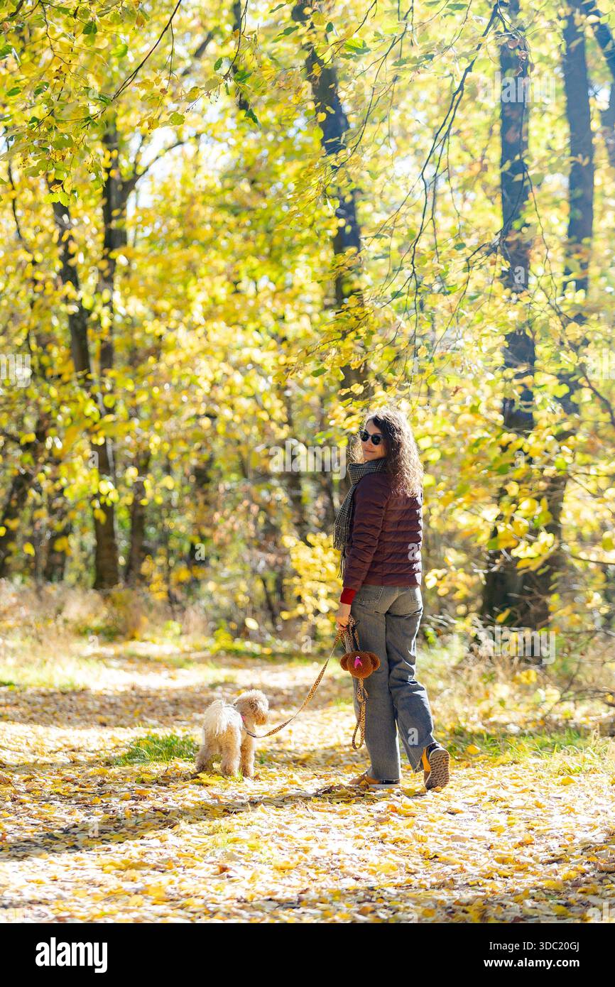 Femme promenant son chien sur un chemin forestier d'automne ensoleillé, Serbie Banque D'Images