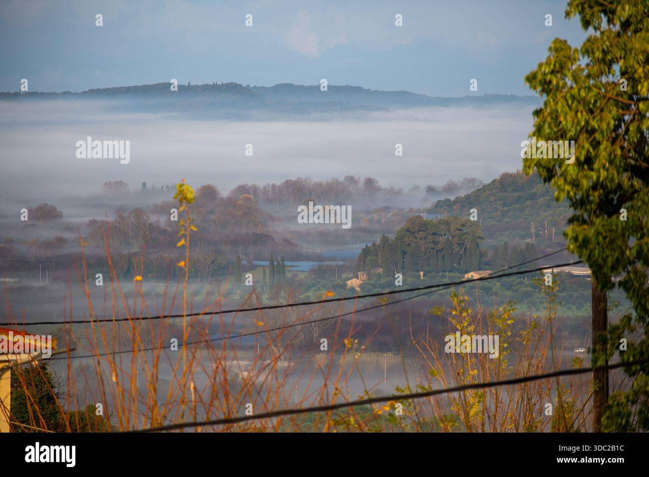 Vue panoramique du paysage de Foggy dans la campagne de Corfou avec des oliveraies et des cyprès Banque D'Images