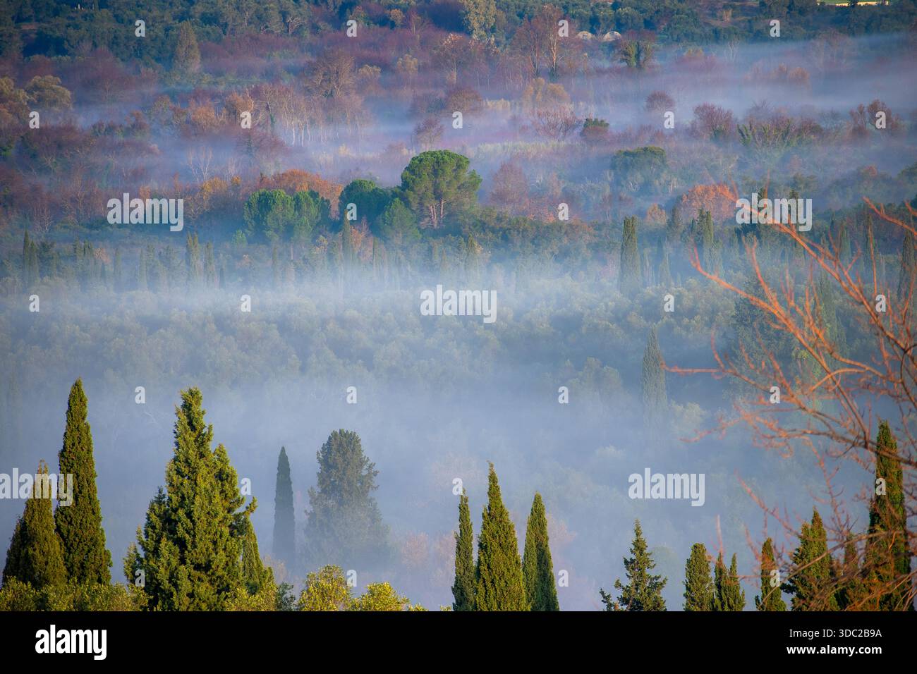 Photo artistique téléphoto de couches d'arbres et de collines s'estompant dans Blue Morning Mist à Corfou Banque D'Images
