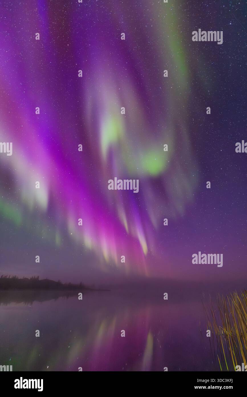 Yellowknife, Canada - 23 septembre 2025 : lumières du nord avec un lac en arrière-plan Banque D'Images